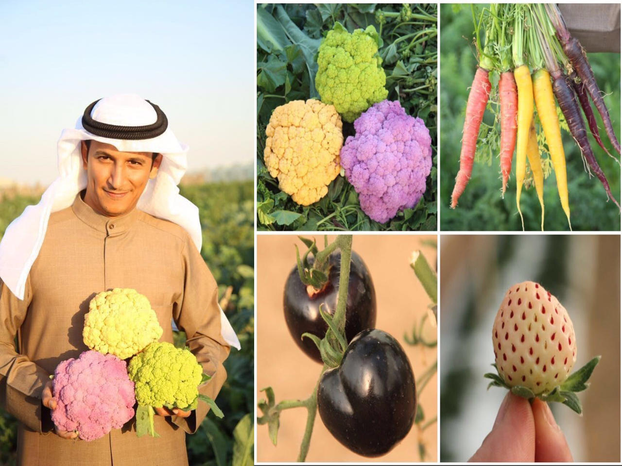  المزارع الكويتي يوسف الكريباني