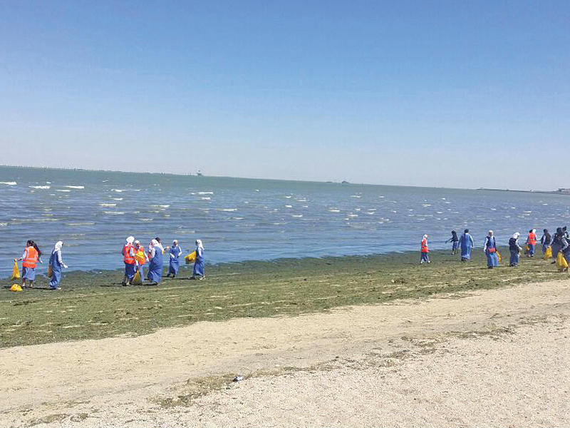 جانب من حملة النظافة 