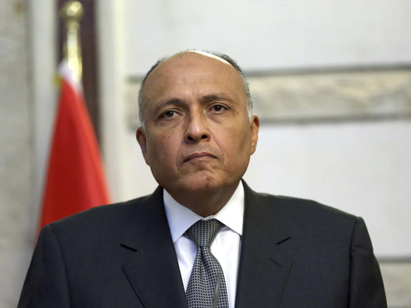  وزير الخارجية المصري سامح شكري