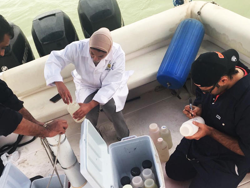 جانب من عملية جمع العينات للتحليل 