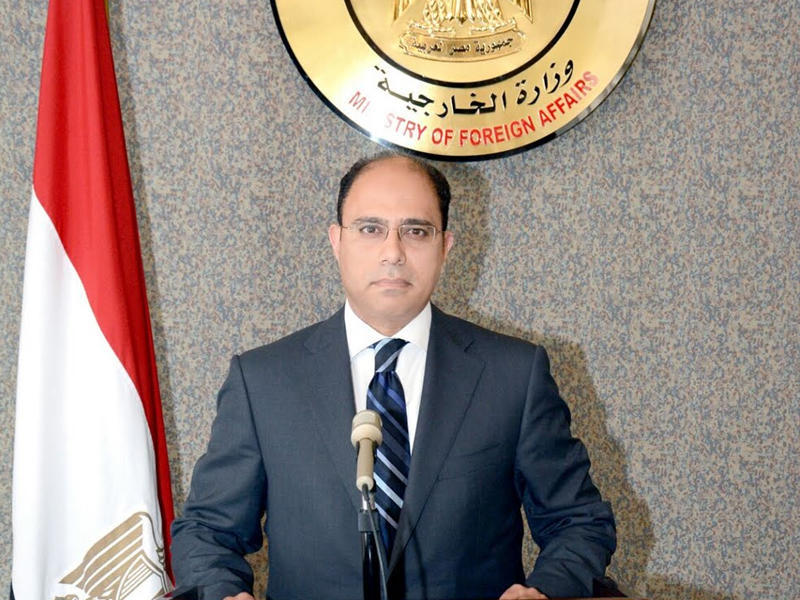 المتحدث الرسمي باسم الخارجية المصرية أحمد أبوزيد