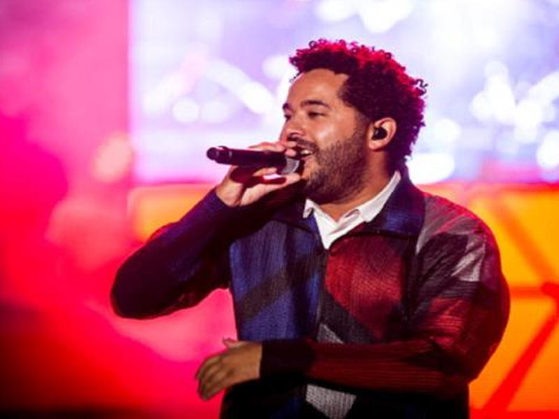 المغني الألماني من أصل مصري عادل طويل