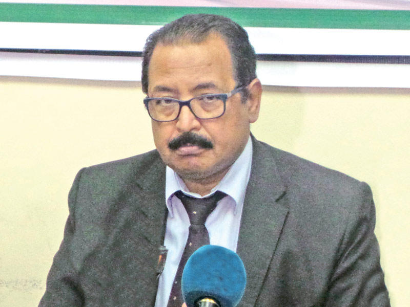  مدير وحدة وادي النيل في مركز «الأهرام للدراسات الاستراتيجية»، هاني رسلان