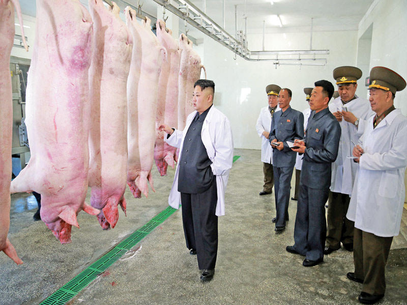 كيم جونغ أون في مذبح خنازير تابع للجيش الشمالي أمس t(رويترز)