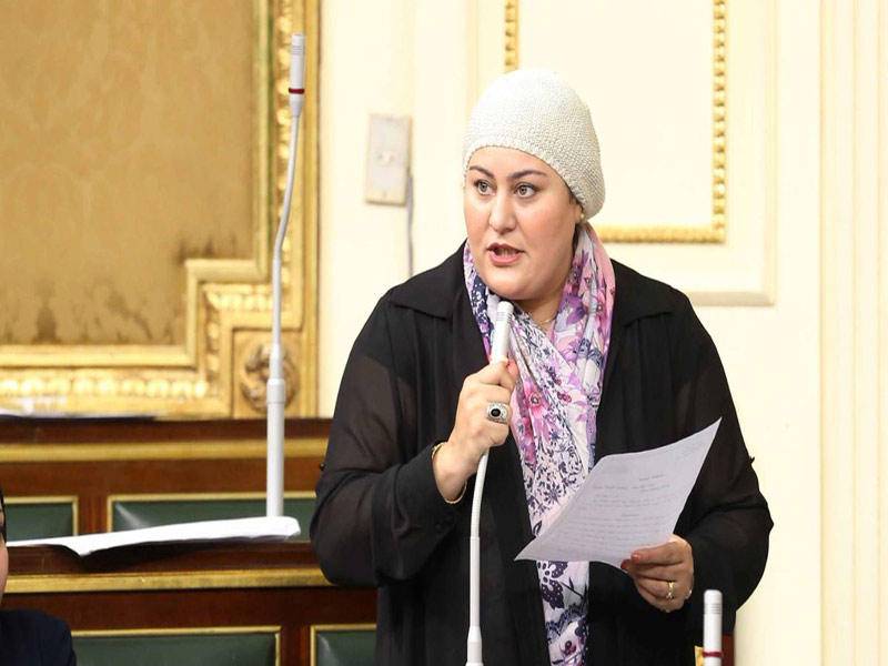 عضوة لجنة الصناعة في البرلمان المصري غادة صقر