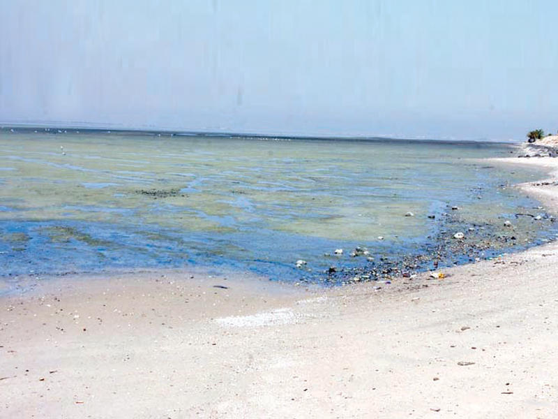 تلوث جون الكويت