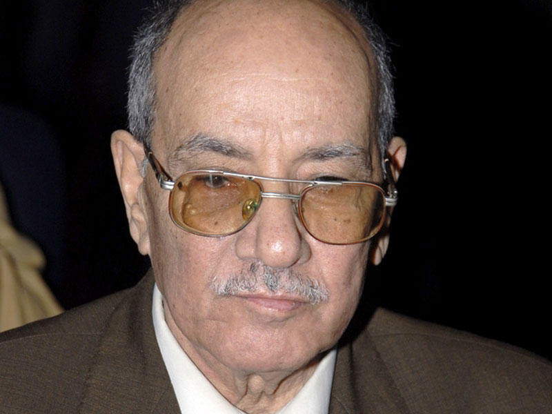  نائب رئيس المجلس القومي لحقوق الإنسان في مصر عبدالغفار شكر