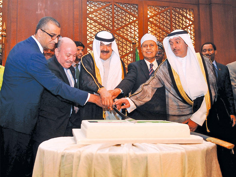 الجارالله خلال  مشاركته باحتفالية «يوم إفريقيا»