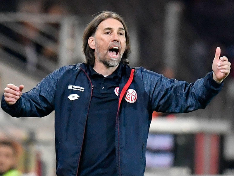 مارتين شميت