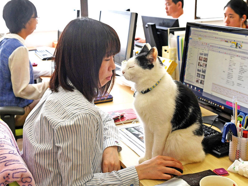 أحدي الموظفات مع حيوانها الاليف لتخفيف ضغوط العمل