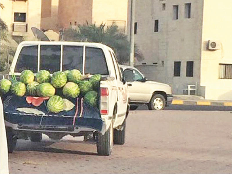 جانب من مضبوطات الحملة