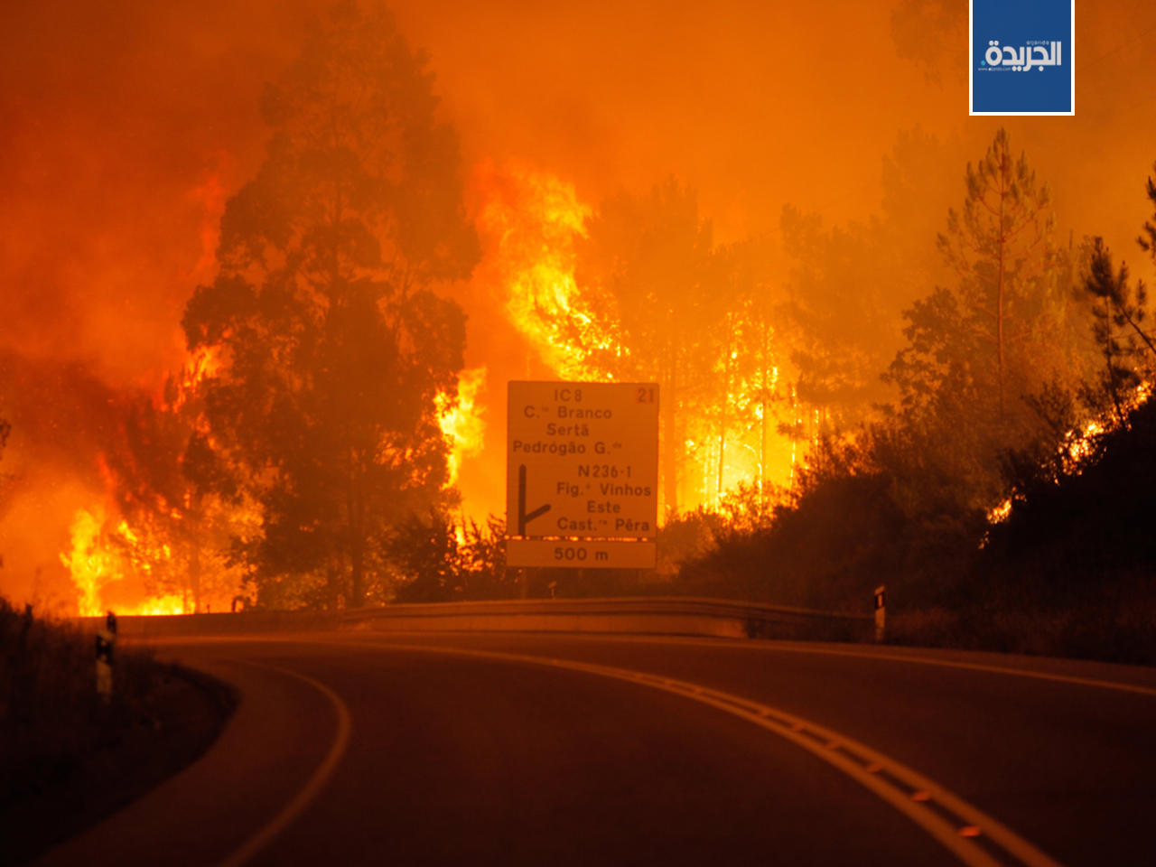النيران تلتهم الغابات في بيدروجاو غراندي، منطقة ليريا، وسط البرتغال