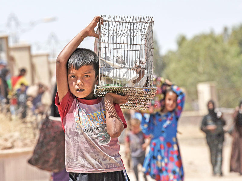 فتى عراقي يحمل طيرين خلال نزوحه وعائلته من المدينة هرباً من المعارك أمس  (أ ف ب)