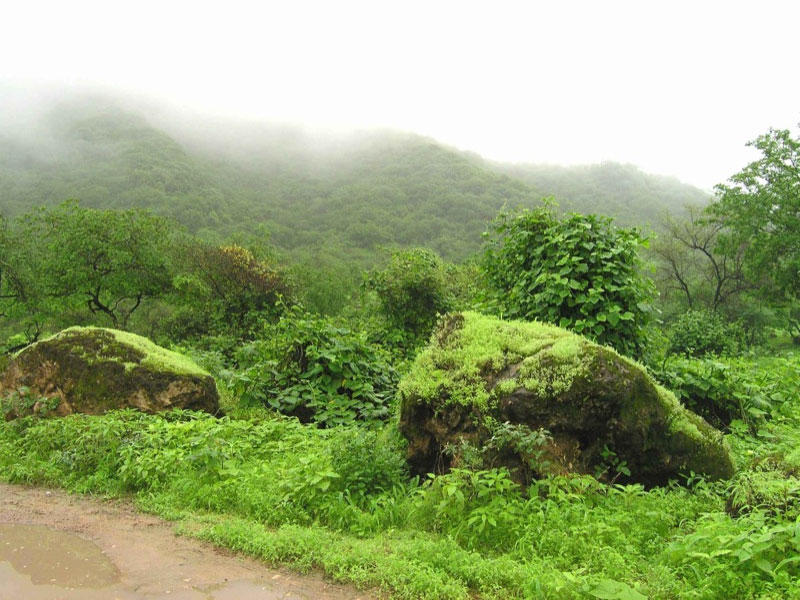 منظر من جبال صلاله في موسم الخريف