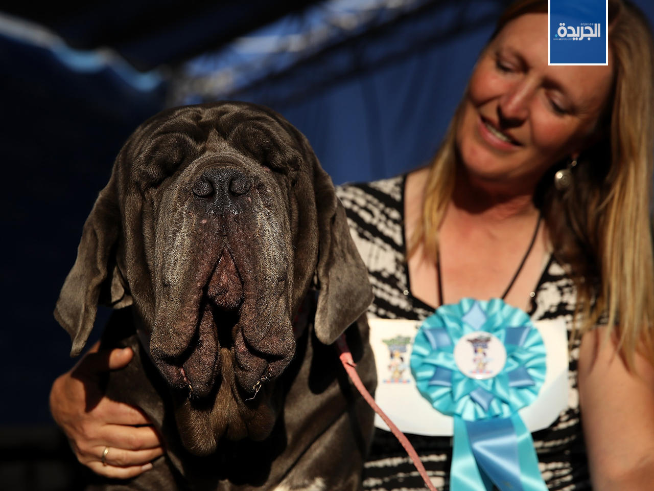 شيرلي زيندلر مع كلبها مارثا