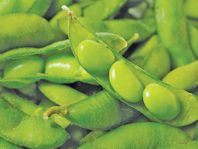  فول الصويا الأخضر