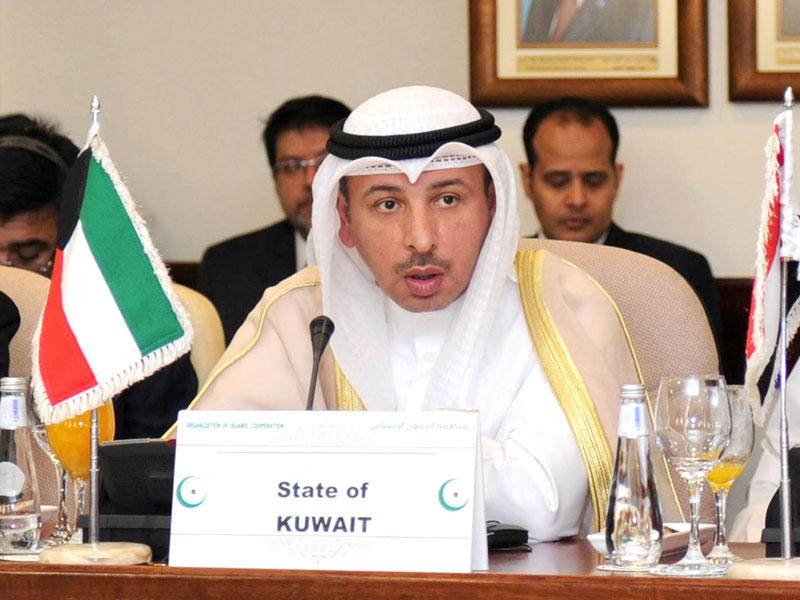 نائب مساعد وزير الخارجية لشؤون المنظمات الدولية ناصر الهين