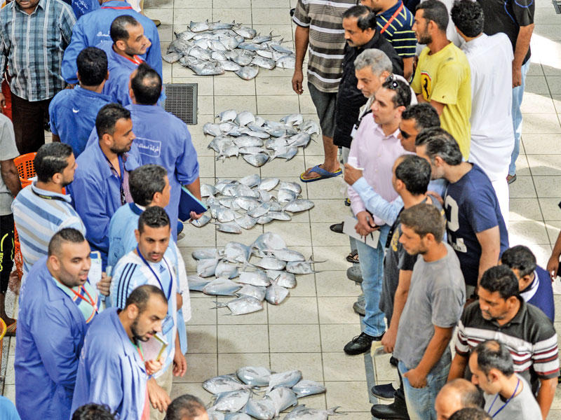 إقبال على أسماك الزبيدي أمس (تصوير رائد قطينة)