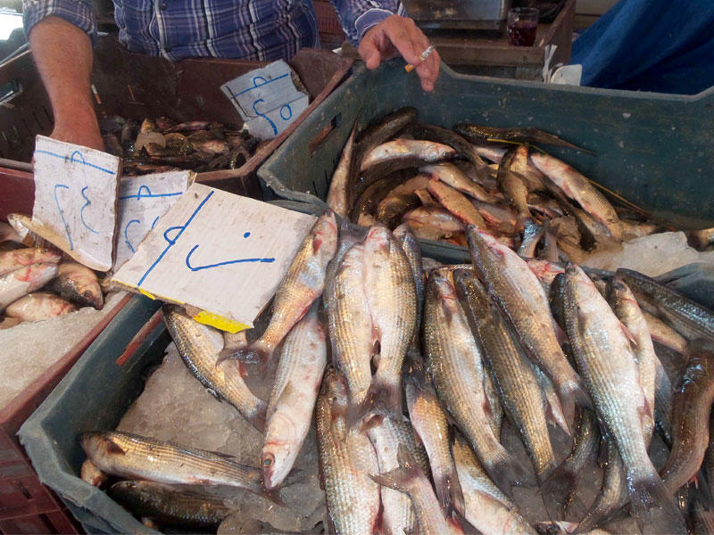 أسواق السمك في مصر (ارشيفية)