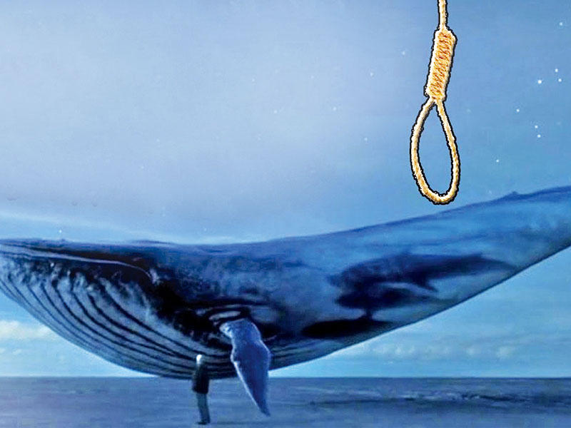  لعبة الحوت الأزرق 