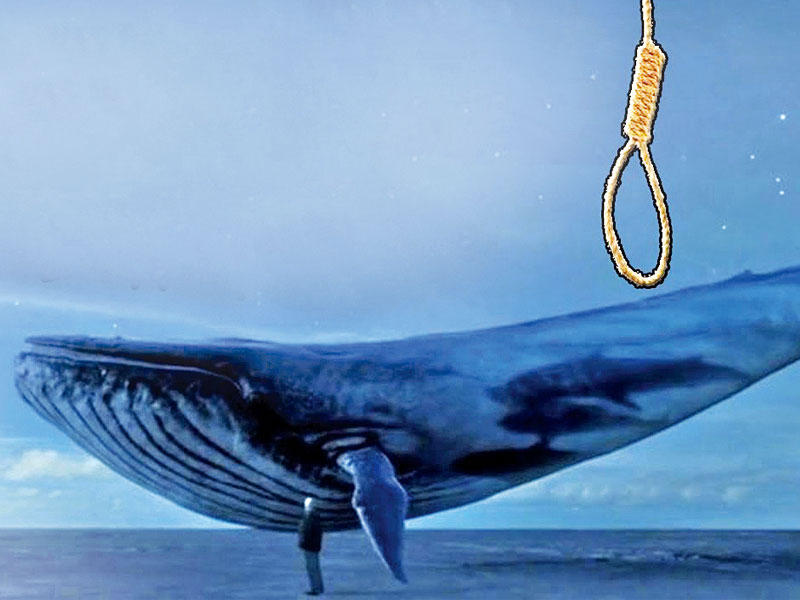  لعبة «الحوت الأزرق»