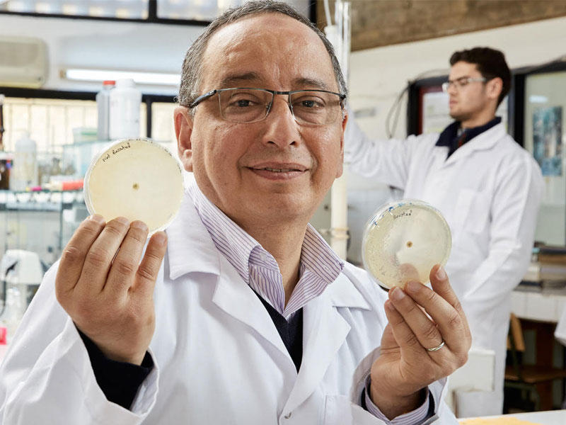 المغربي عدنان رمال