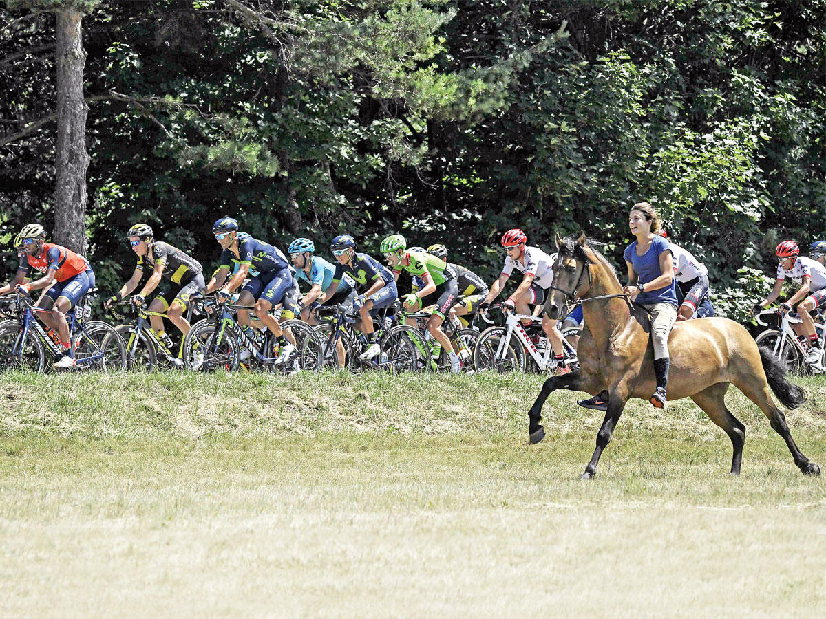 جانب من منافسات طواف فرنسا الدولي