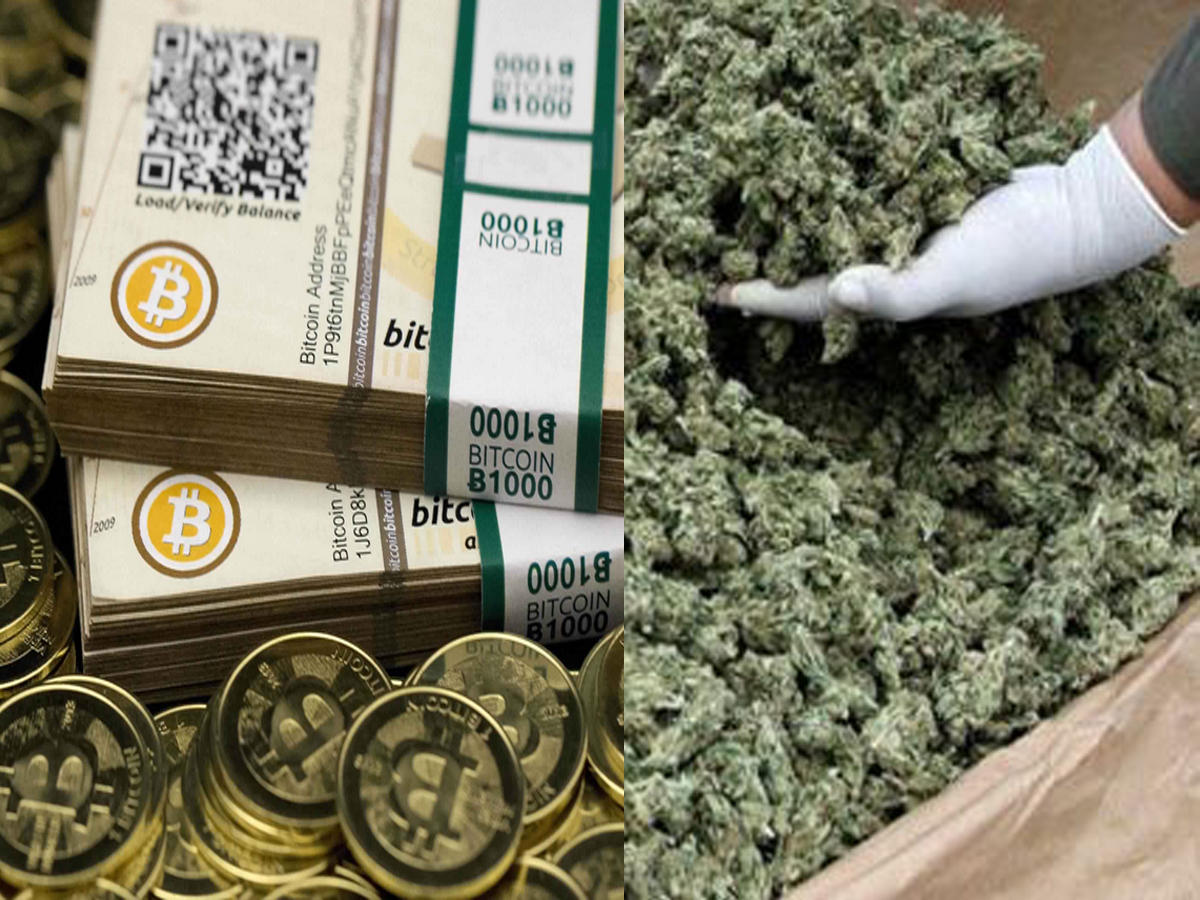البيتكوين-والماريغوانا
