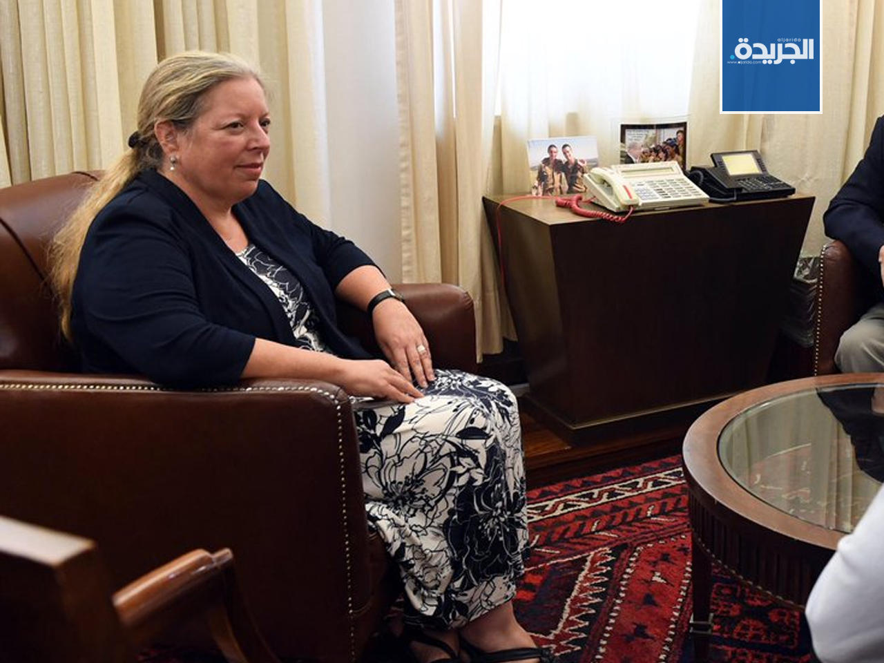 عينات شلاين