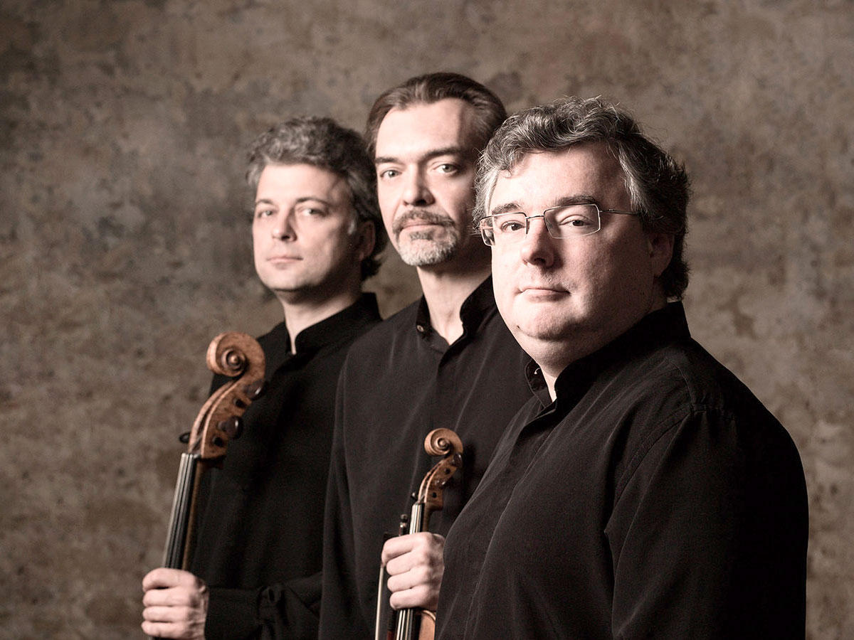 تريو فانديرير