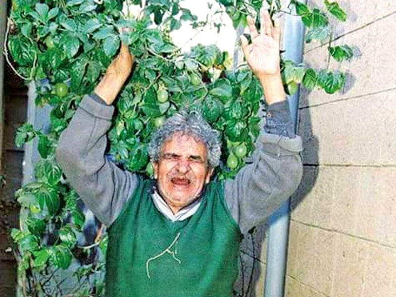 الشاعر اليمني عبدالله البردوني