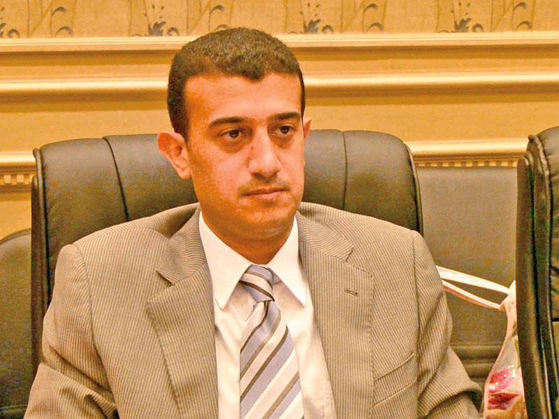 عضو لجنة العفو الرئاسي النائب البرلماني طارق الخولي