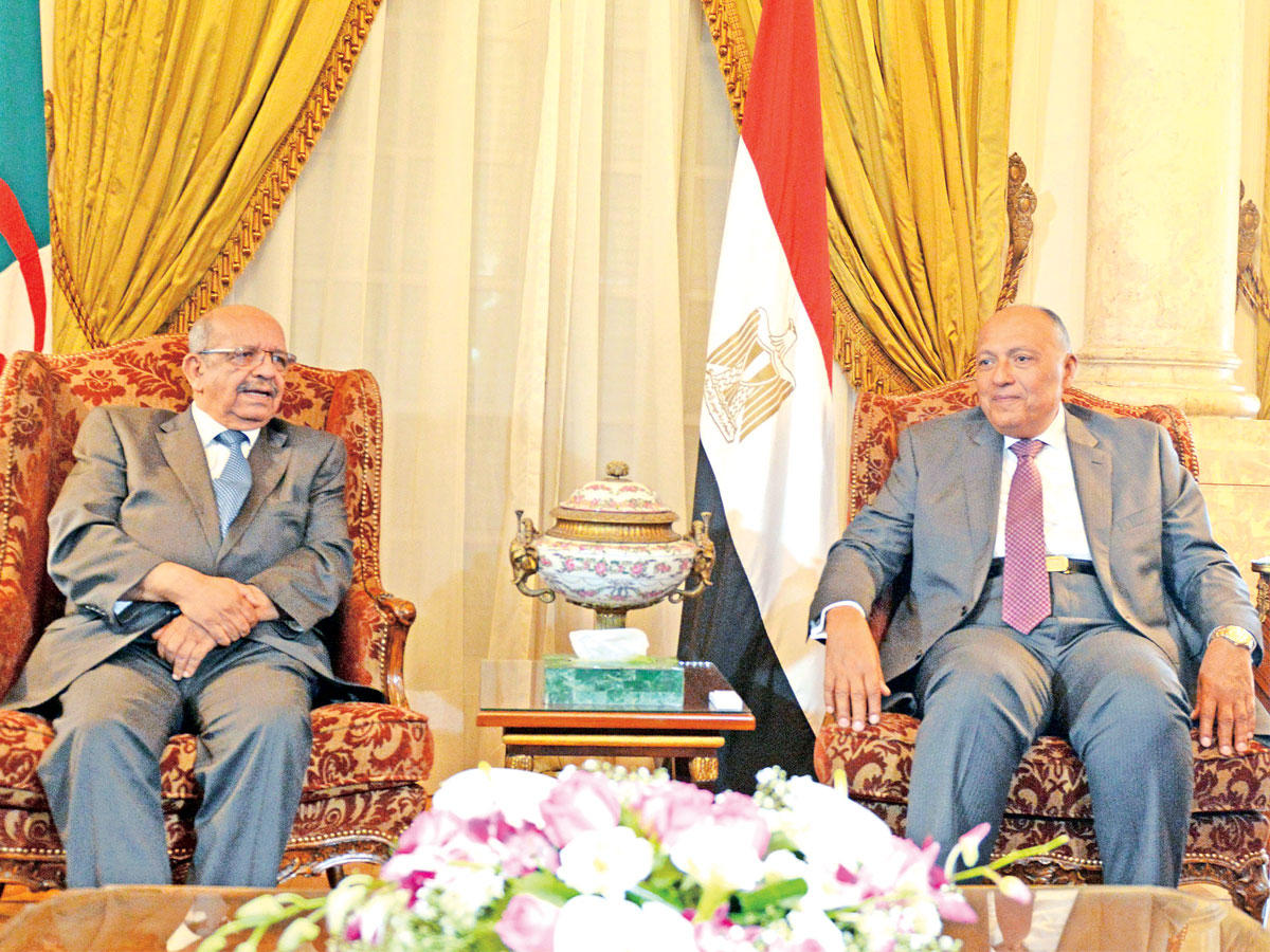 شكري مستقبلاً نظيره الجزائري في القاهرة أمس (أ ف ب)