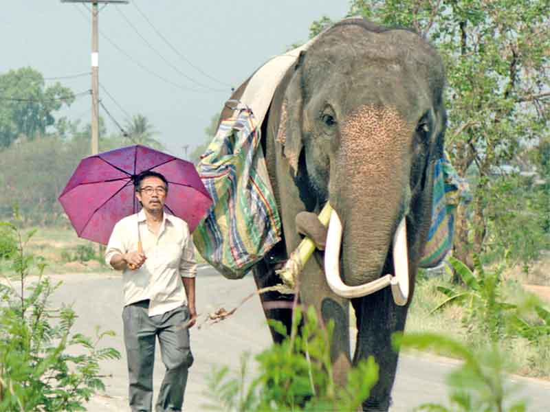 مشهد من الفيلم