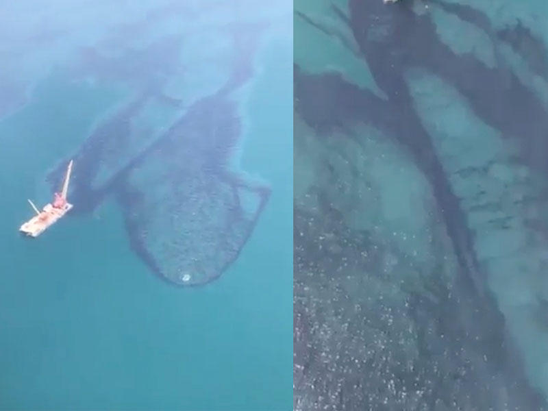 جانب من التسرب النفطي في رأس الزور