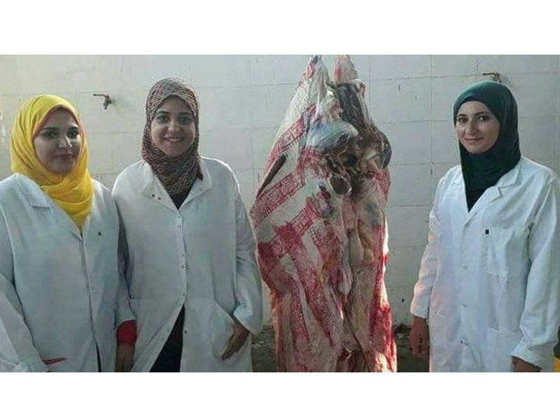 آية إسماعيل وأميرة إبراهيم ولمياء عبدالناصر