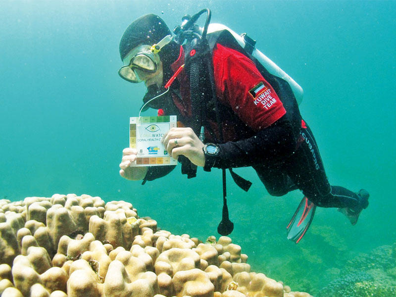أحد اعضاء «الغوص» يعاين الشعاب المرجانية في محمية جزر «الديمانيات» في عمان 