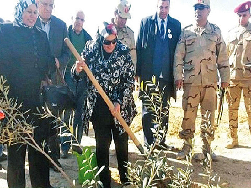 جانب من حملة لزرع اشجار الزيتون في سيناء 