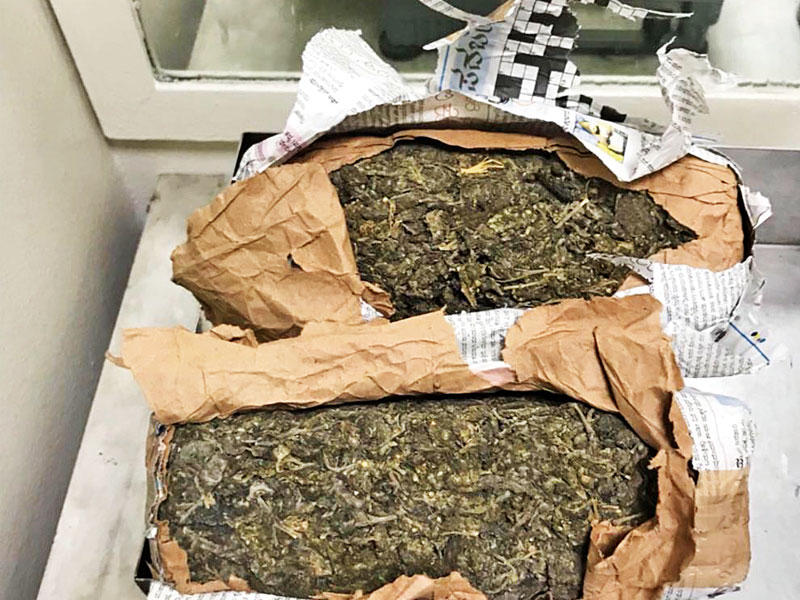  مادة الماريغوانا المضبوطة 