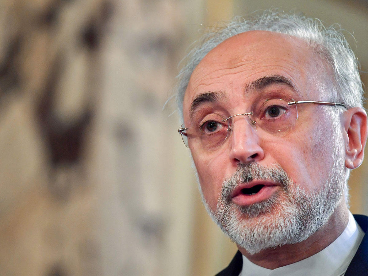 رئيس منظمة الطاقة الذرية الايرانية علي اكبر صالحي