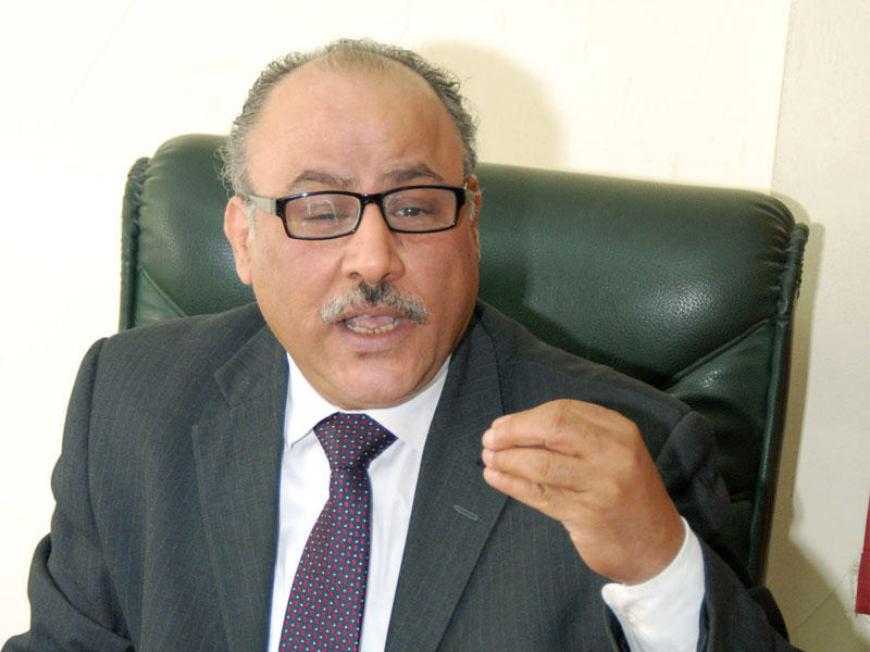 عضو المجلس القومي لحقوق الإنسان، مدير المركز العربي لاستقلال القضاء، ناصر أمين