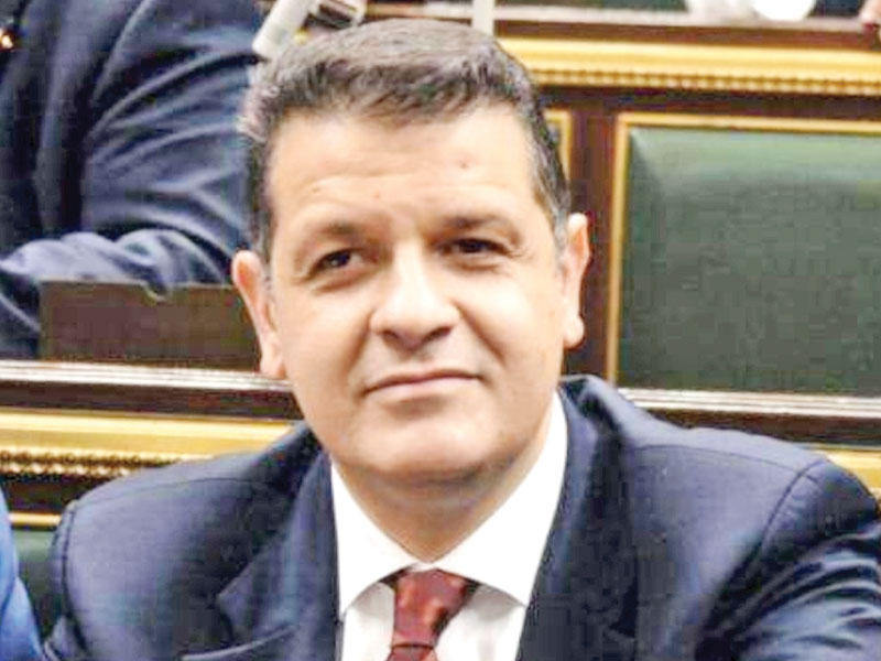 النائب طارق رضوان  رئيس لجنة العلاقات الخارجية في مجلس النواب المصري
