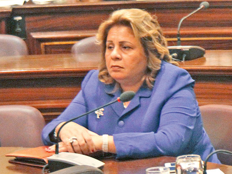 عضوة لجنة الشؤون الإفريقية في البرلمان المصري منى منير