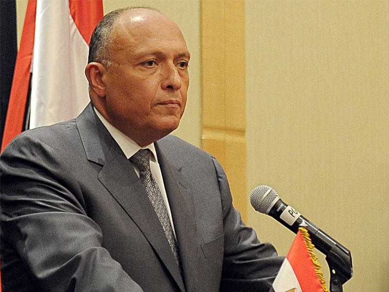 وزير الخارجية المصري سامح شكري