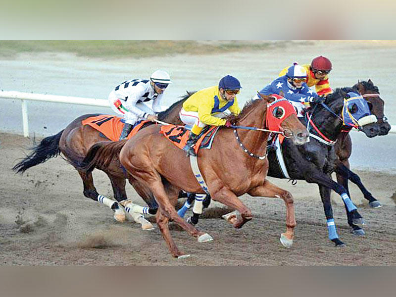 لقطة من السباق السادس وعبدالله السلمان متصدر دوري النقاط