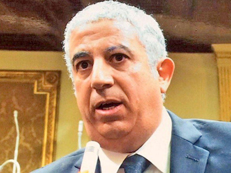 عضو لجنة العلاقات الخارجية في البرلمان المصري كريم درويش
