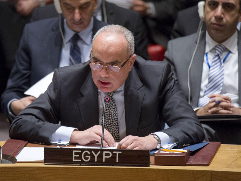 مندوب مصر الدائم لدى الأمم المتحدة، عمرو أبو العطا