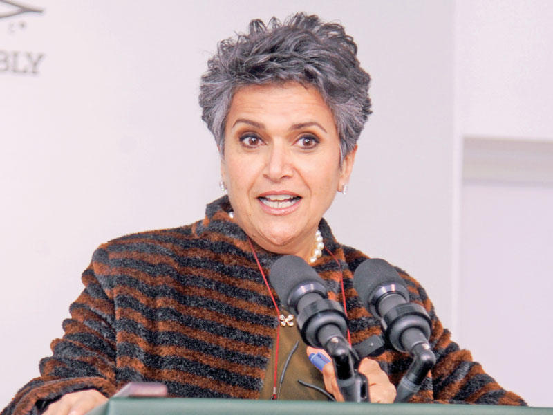 صفاء الهاشم