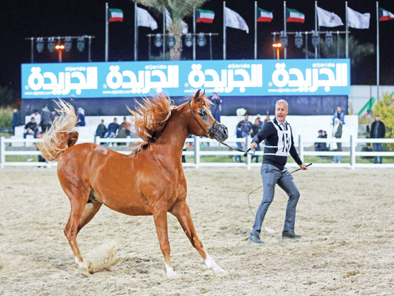 جانب من استعراض الجمال (تصوير جورج رجي)
