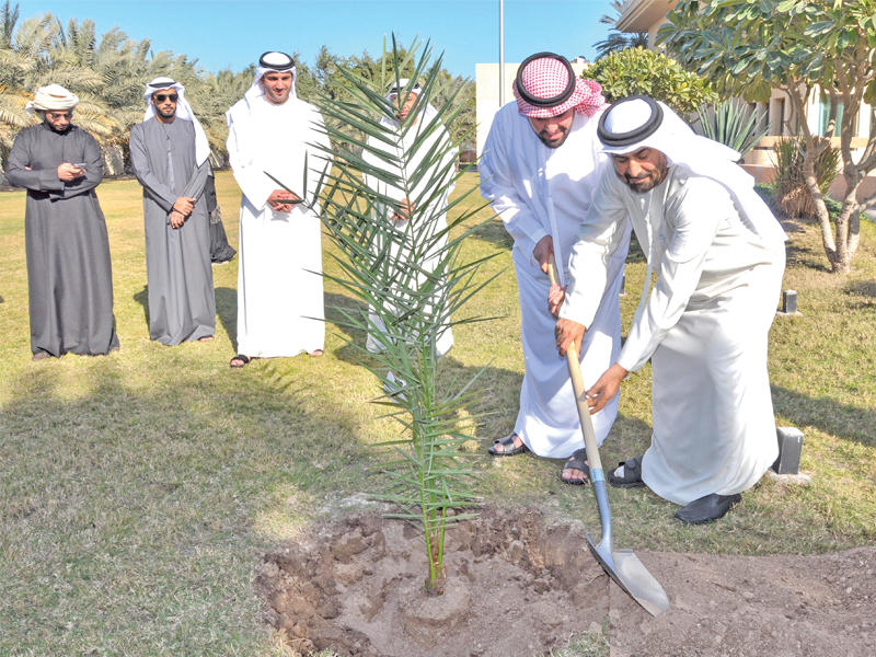 الزعابي والجسمي أثناء زراعة نخلة زايد